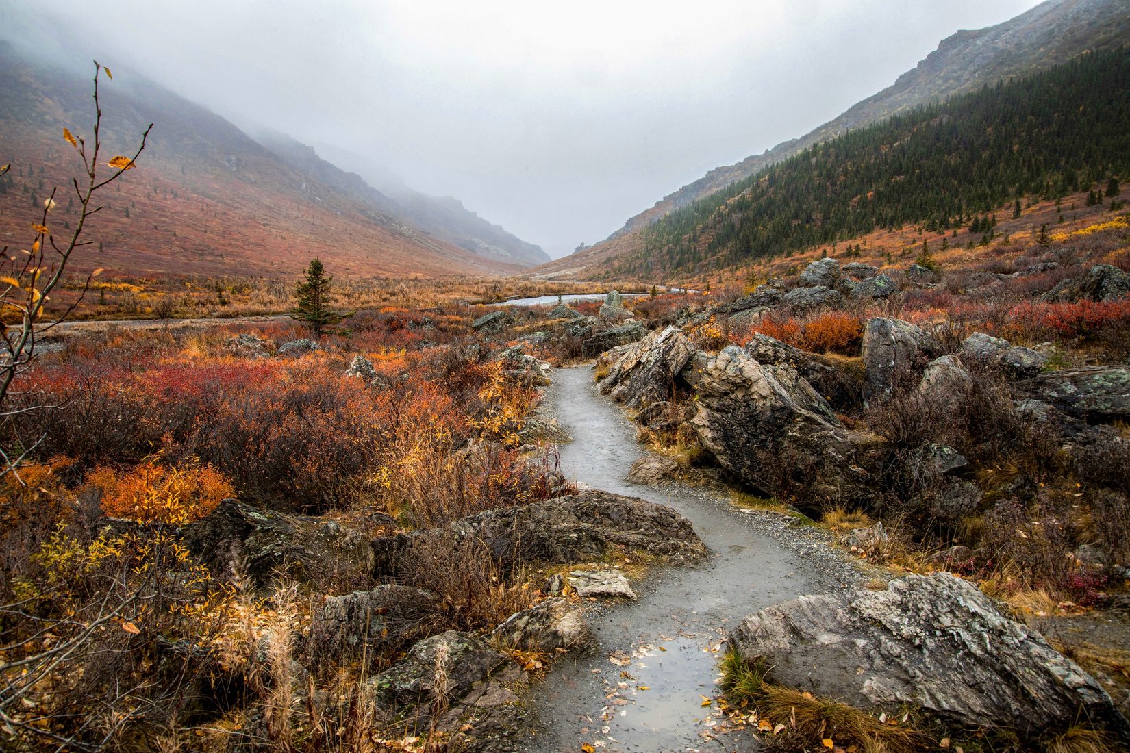 Savage River Trailhead, USA