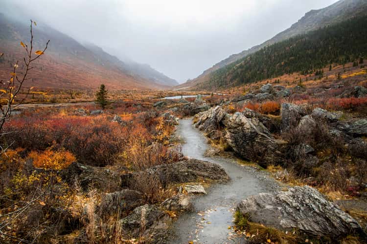 Savage River Trailhead