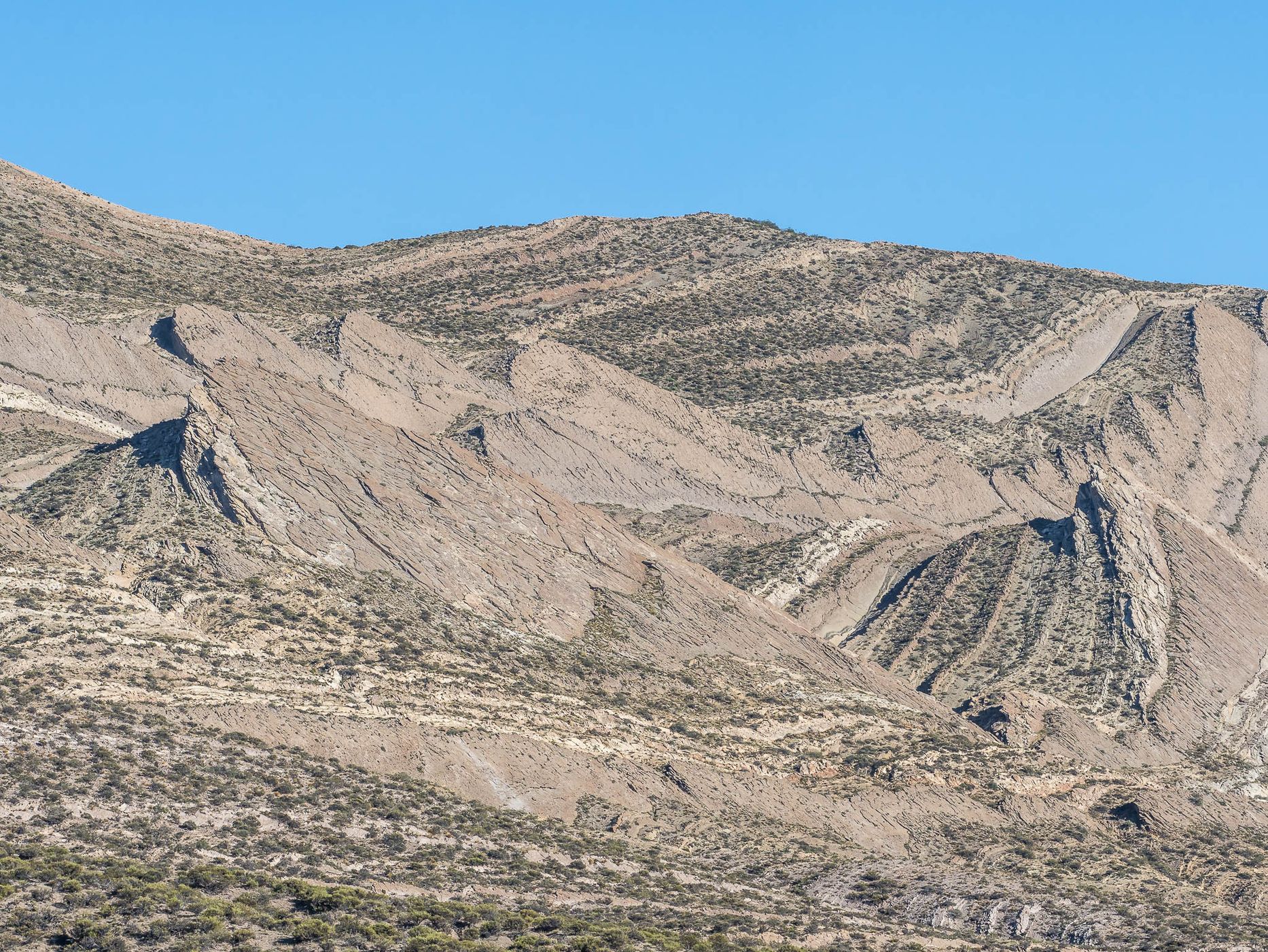 Sedimentary Rocks east of Tromen Volcano, Argentina