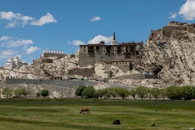 Shey Palace