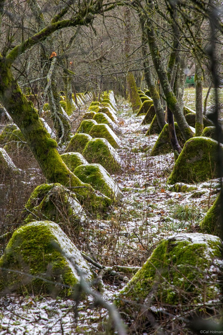 Siegfried Line, Germany
