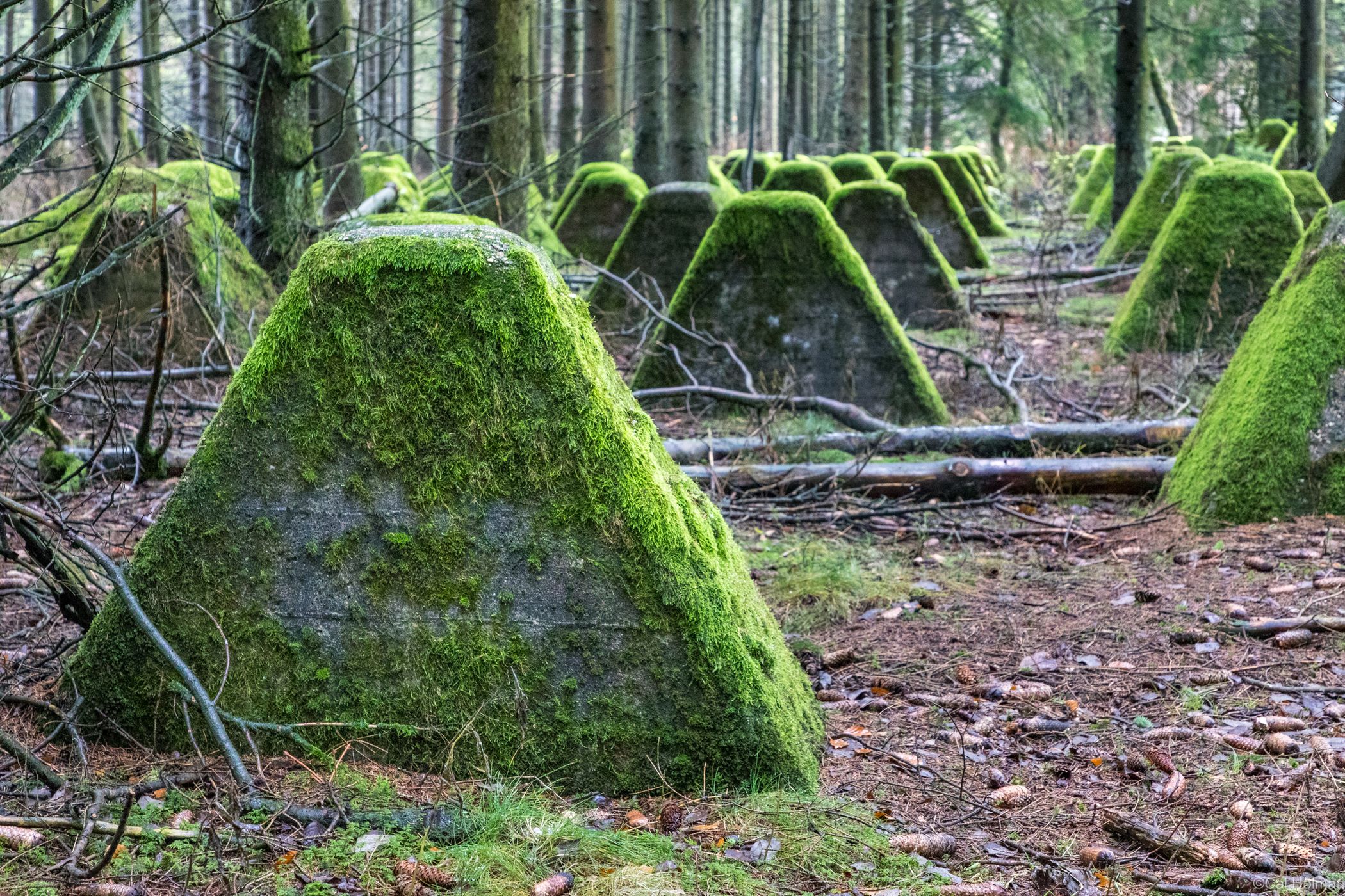 Siegfried Line, Germany