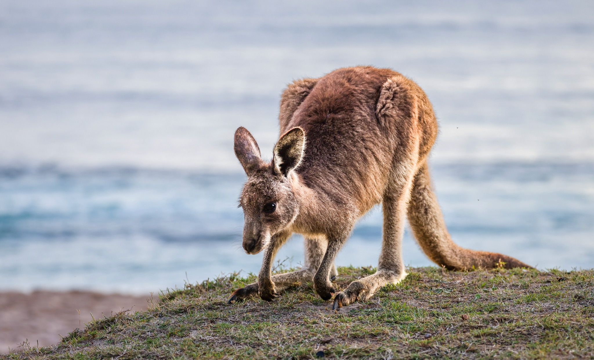 South Durras, Australia