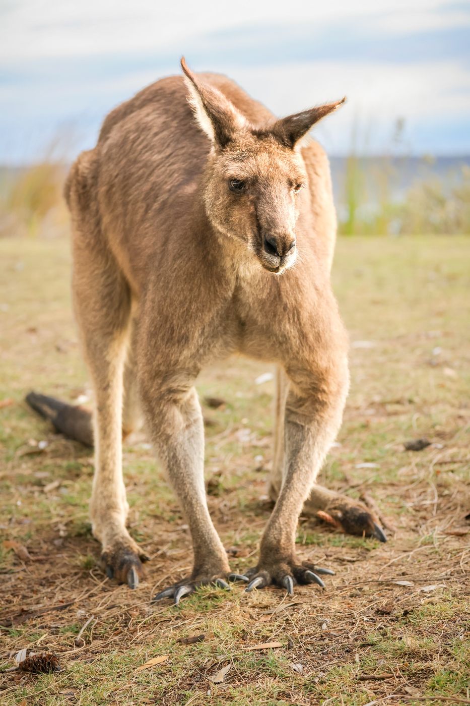 South Durras, Australia