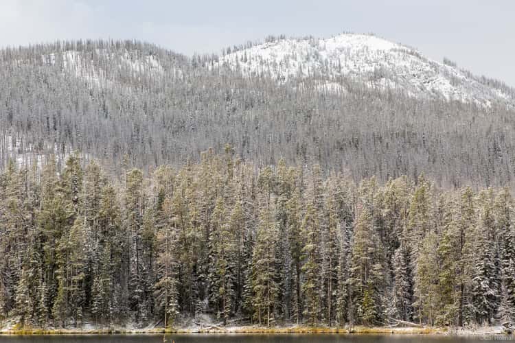 Sylvan Lake