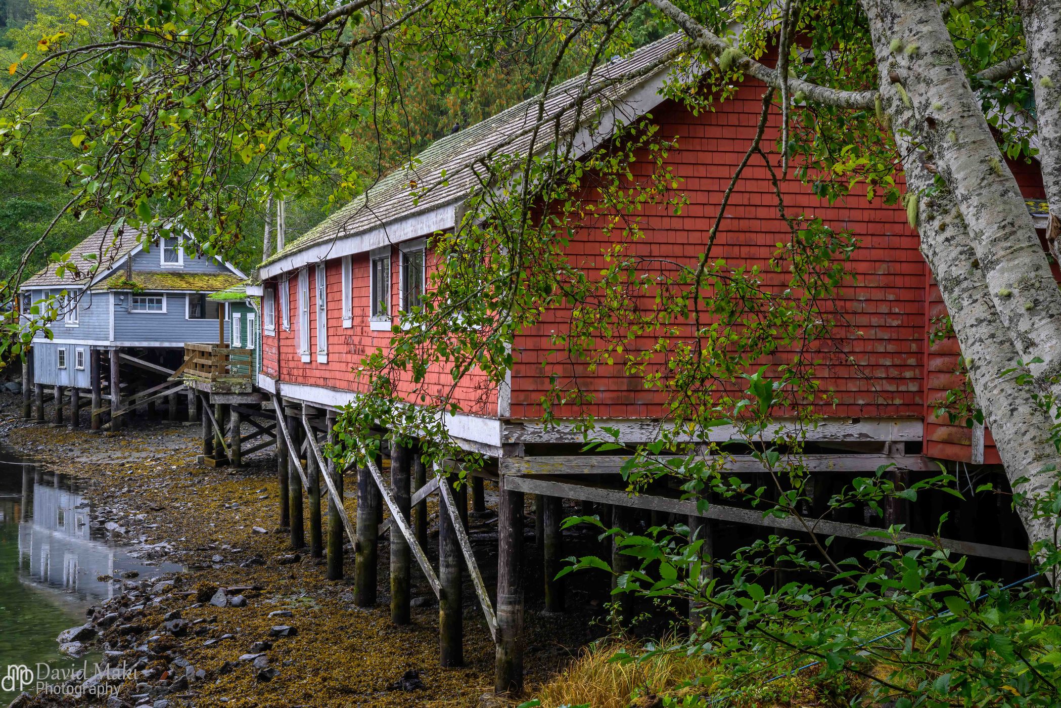 Telegraph Cove, Canada