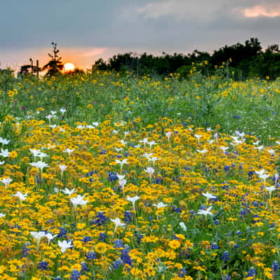 Texas Hill Country, USA