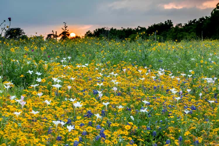 Texas Hill Country