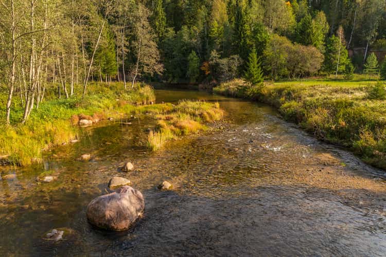 The Amata Trail in Gauja National Park in Latvia