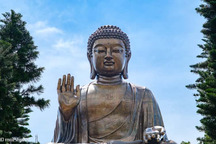 The Big Buddha (Tian Tan Buddha)