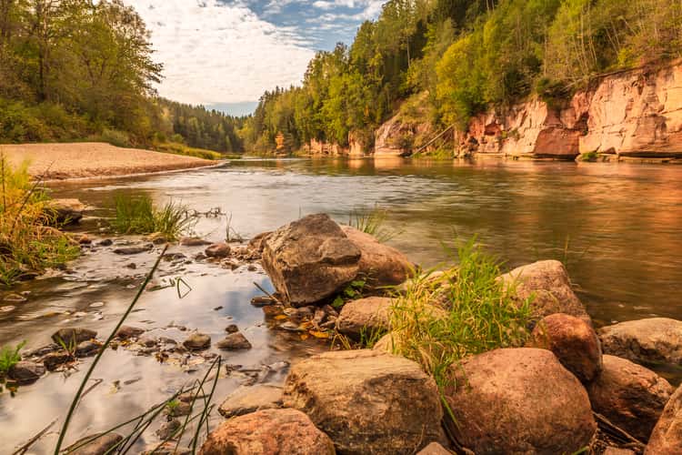 The Gauja River in the Gauja National Park