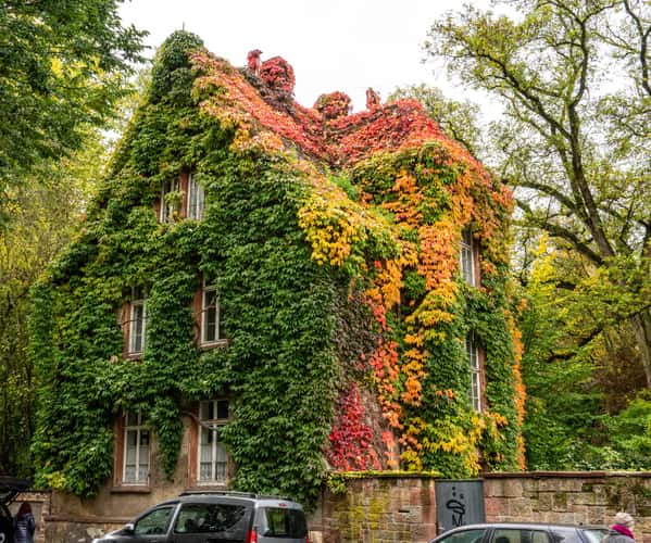 The green house, Gießen