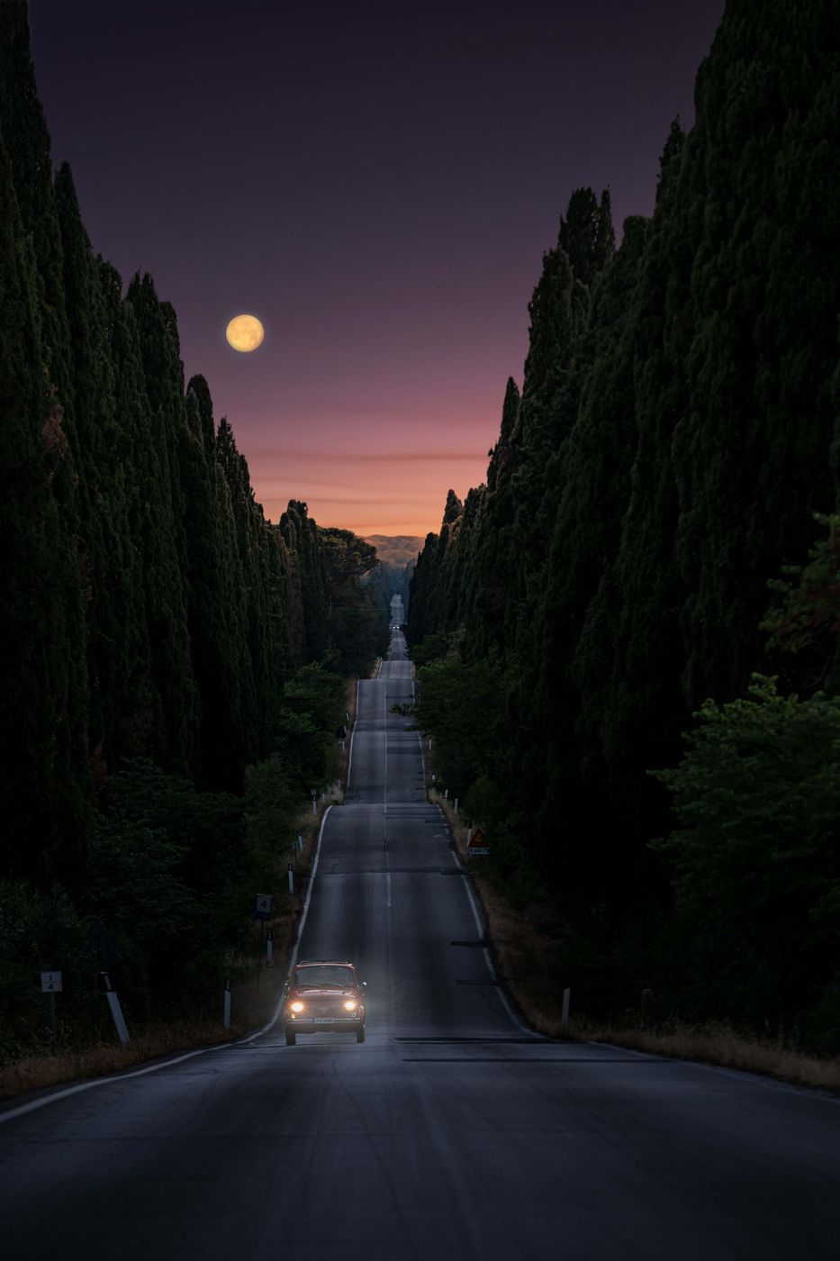 The road to Bolgheri, Italy