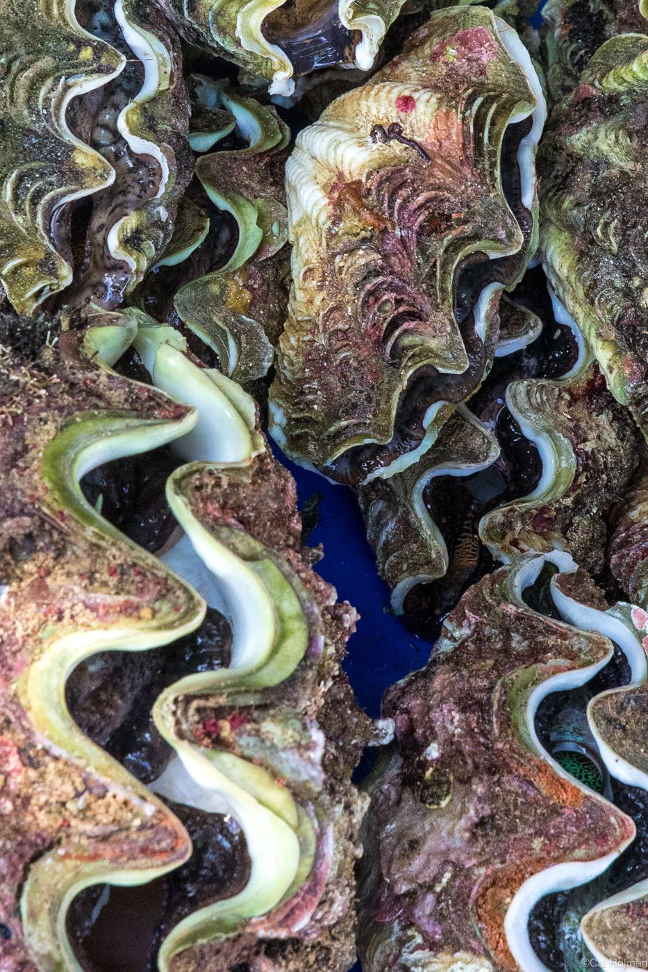 Toamasina, Madagascar