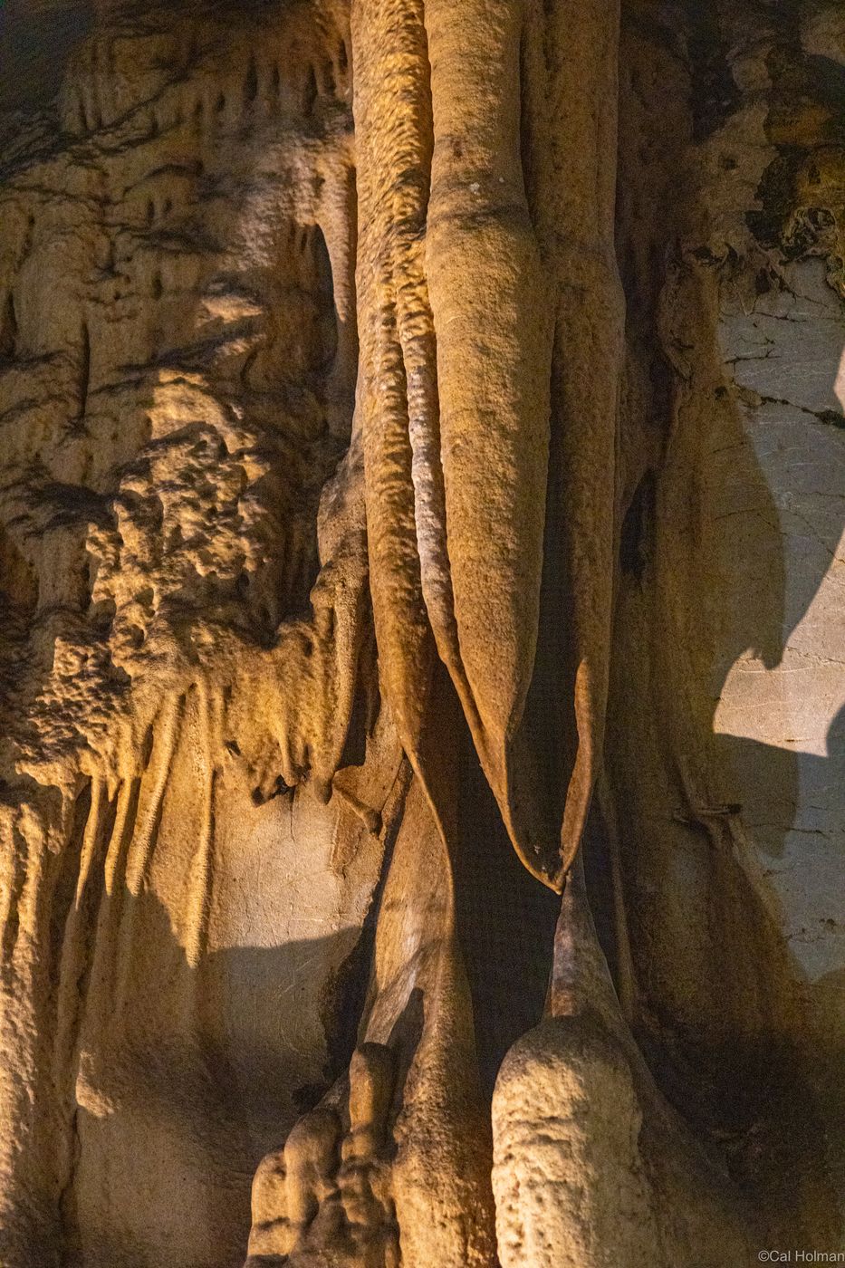 Trung Trang Cave, Vietnam
