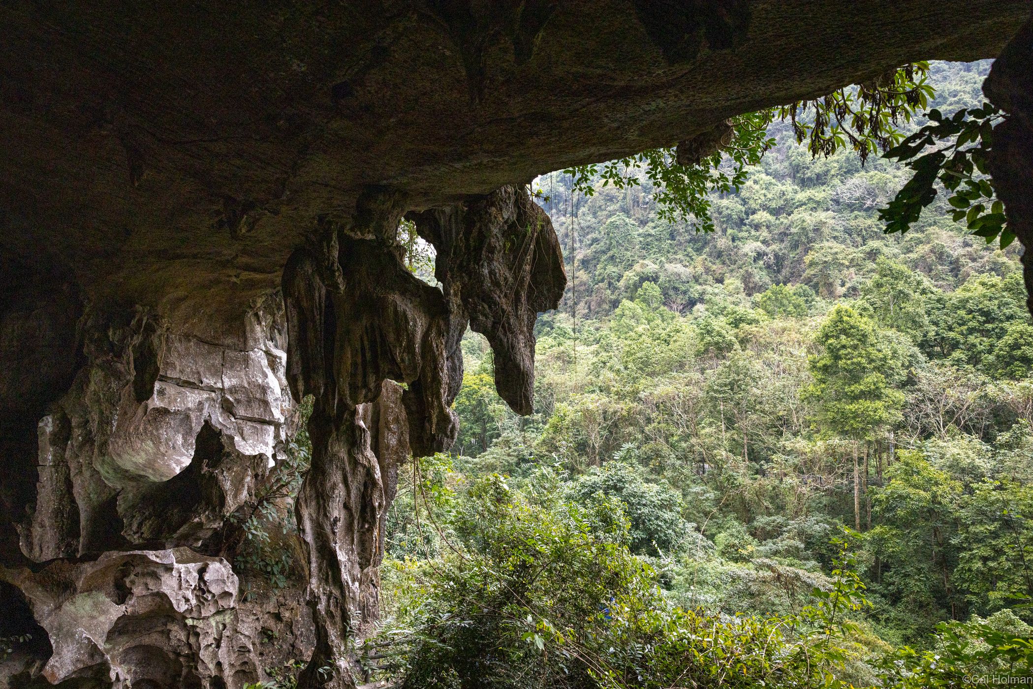 Trung Trang Cave, Vietnam