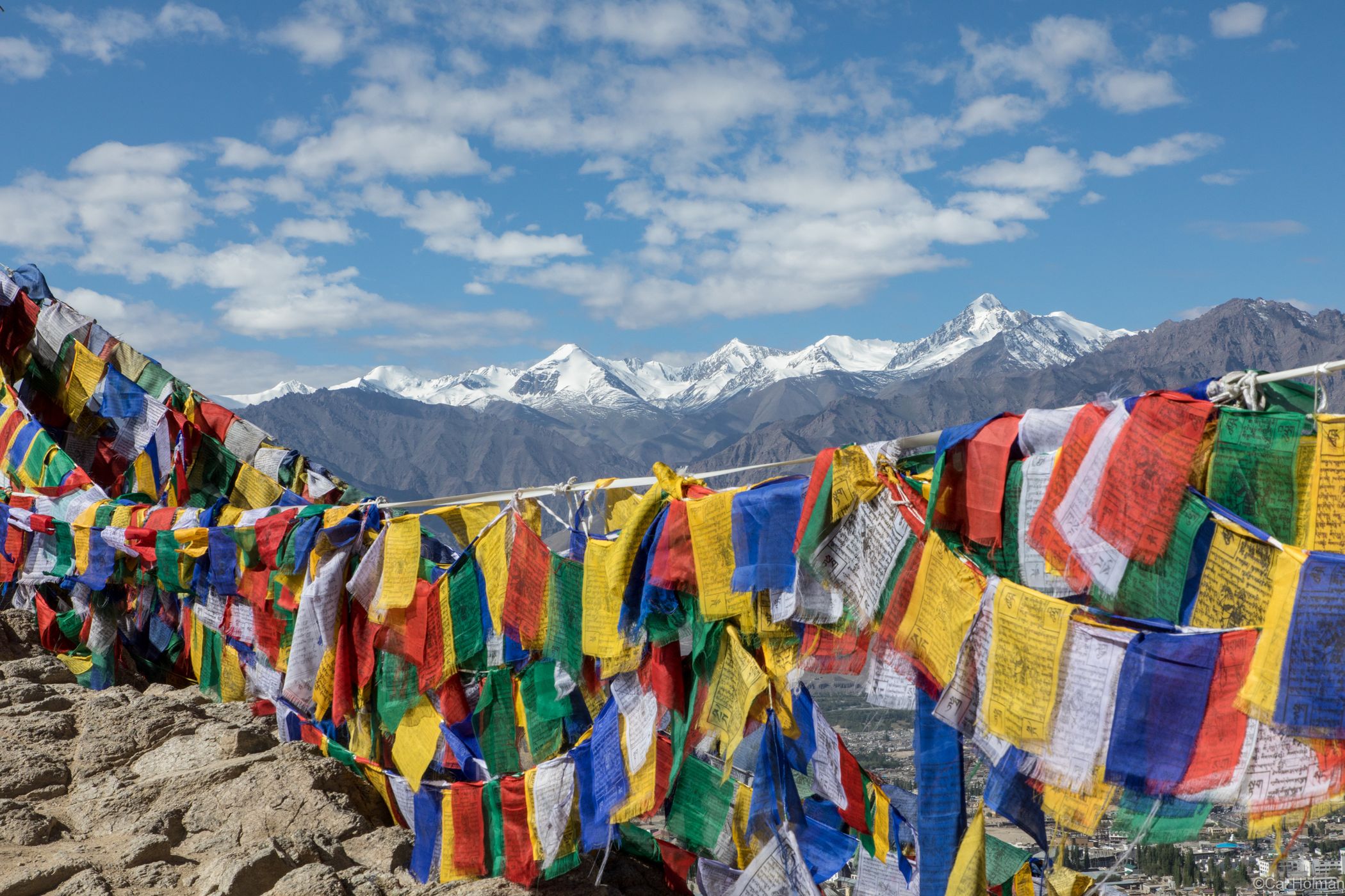 Tsemo Maitreya Temple, India