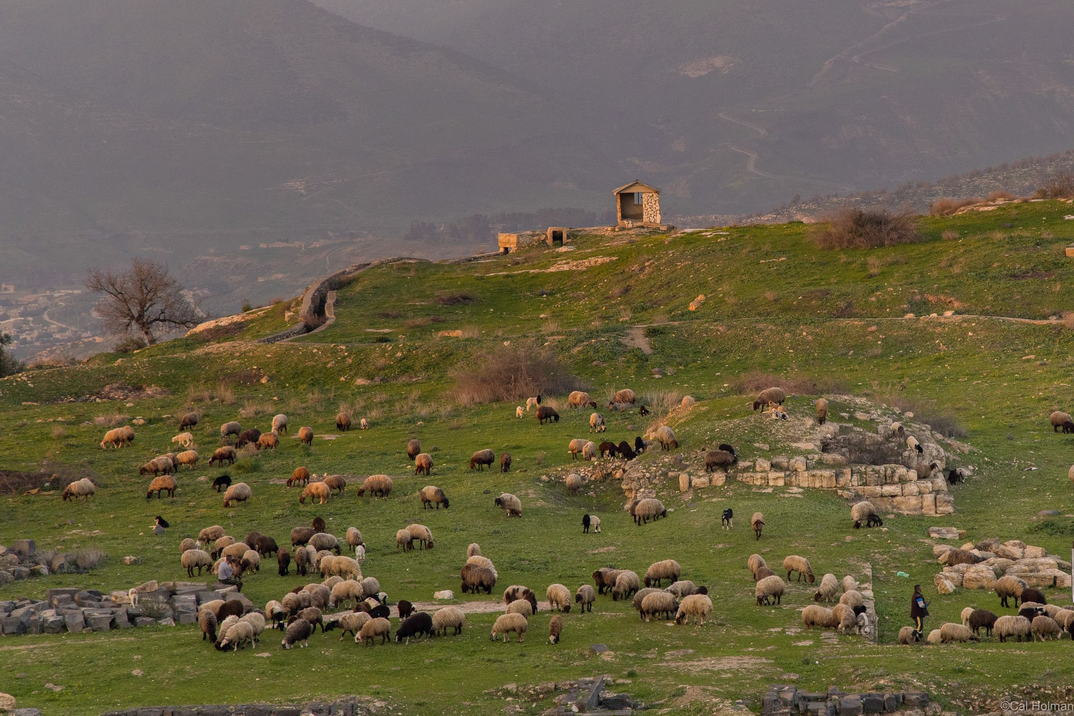 Umm Qais, Jordan