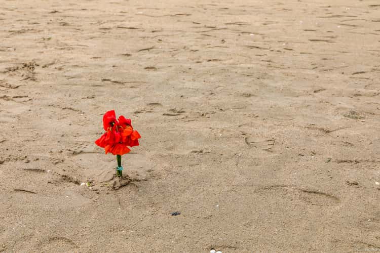 Utah Beach