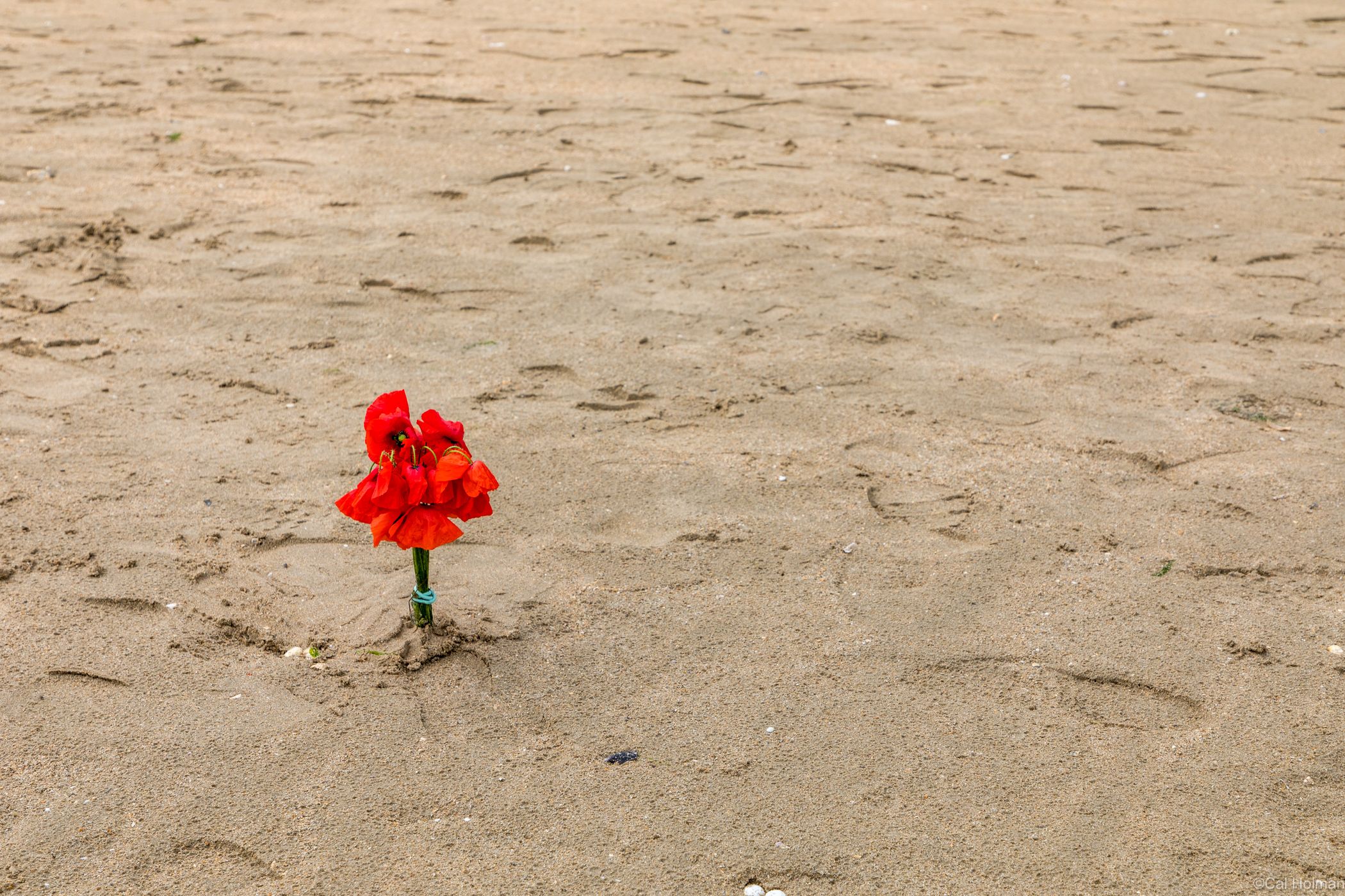Utah Beach, France