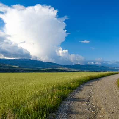 View of the Cerdanya valley in the barley fields around Alp, Spain