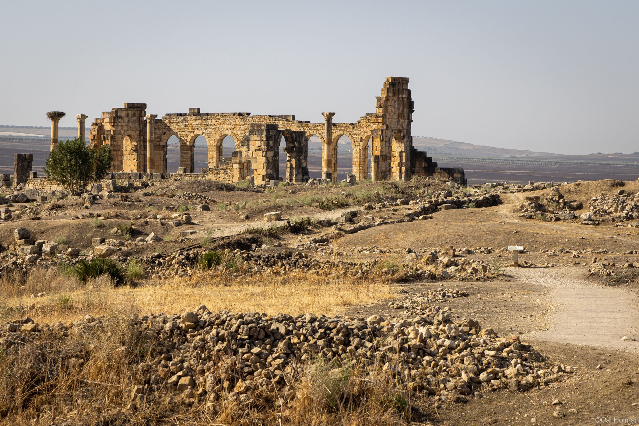 Volubilis, Morocco