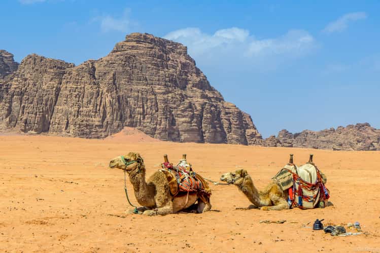 Wadi Rum Desert