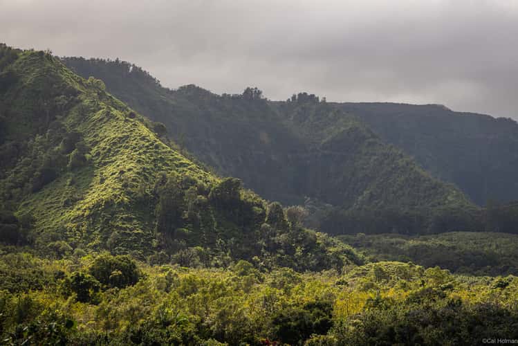Wailua Valley State Wayside