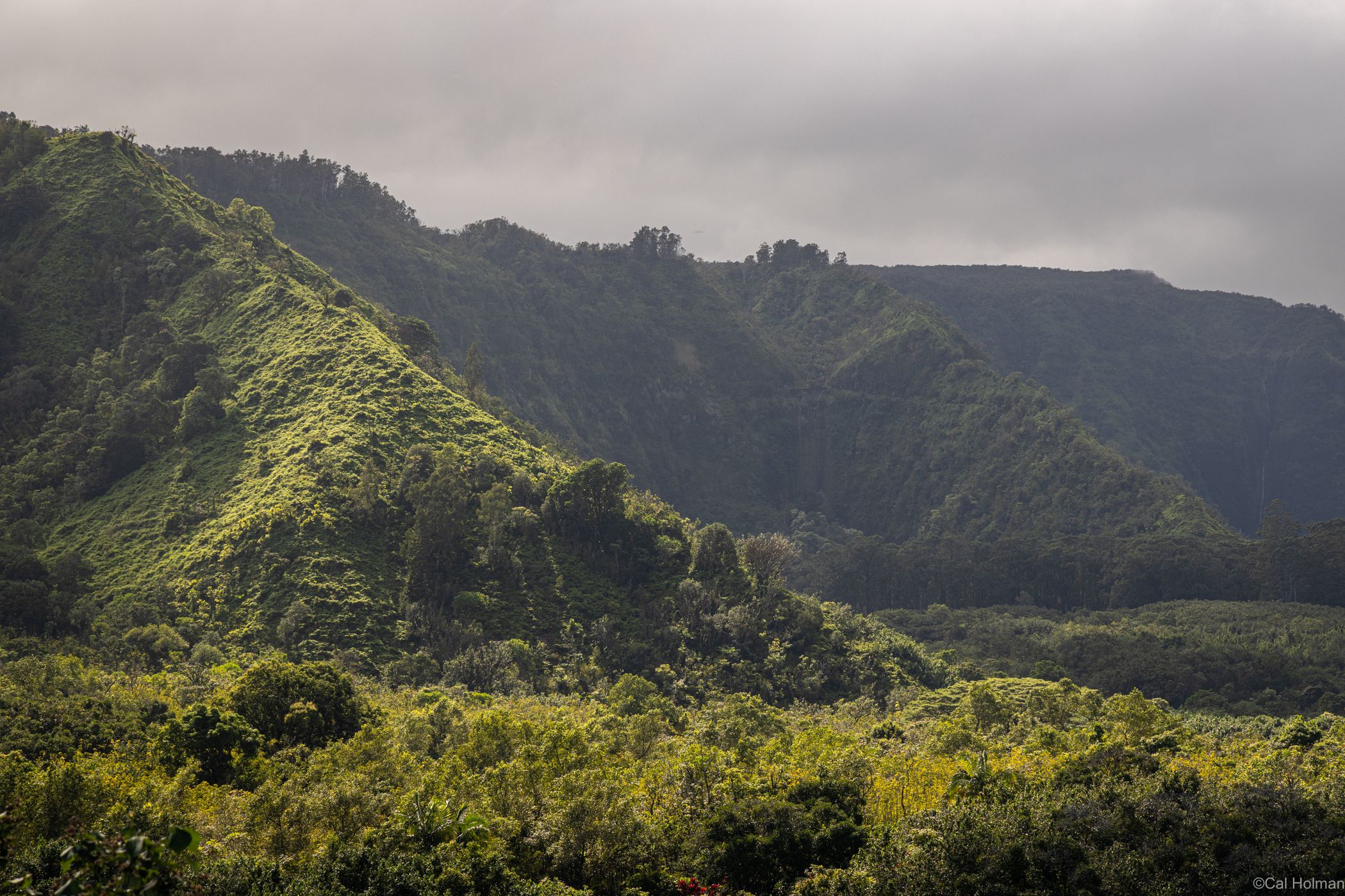 Wailua Valley State Wayside, USA