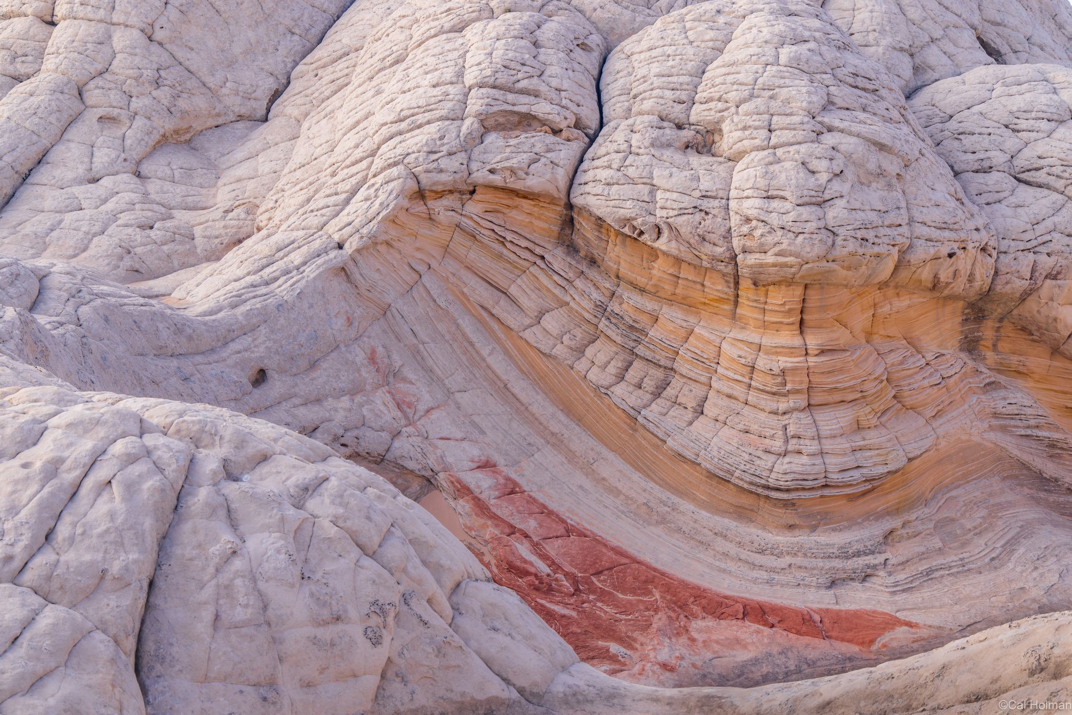 White Pocket, USA