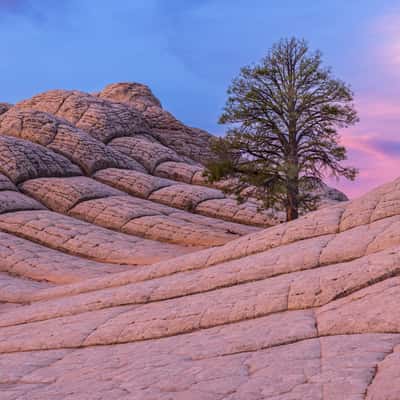 White Pocket, USA