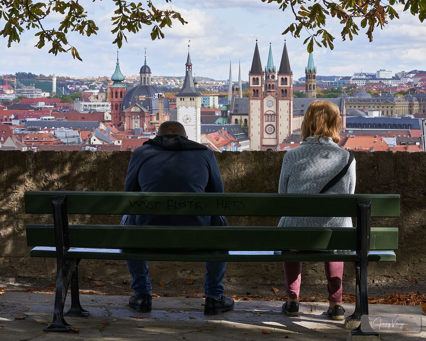 Würzburg view, Germany