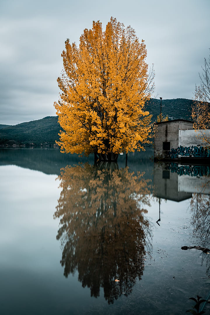 Autumn at the Barasona Lake, Graus, Spain