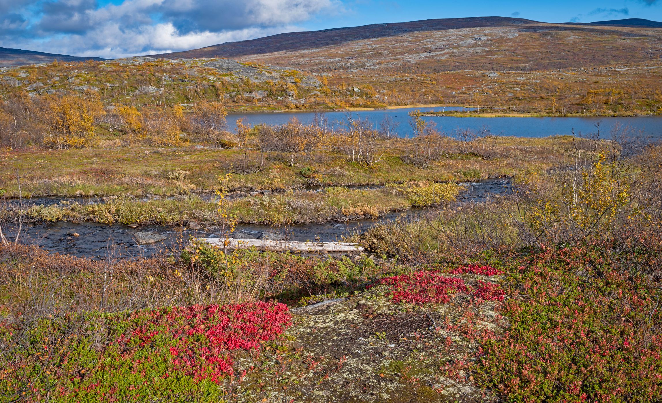 Autumn atmosphere, Norway