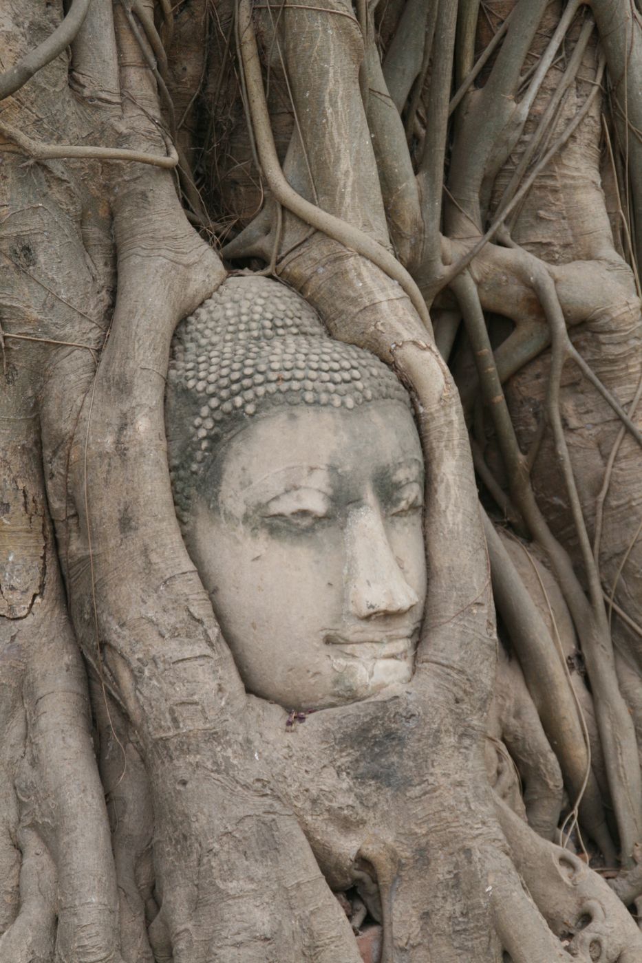 Ayutthaya - Old Capital, Thailand