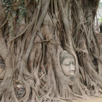 Ayutthaya - Old Capital, Thailand