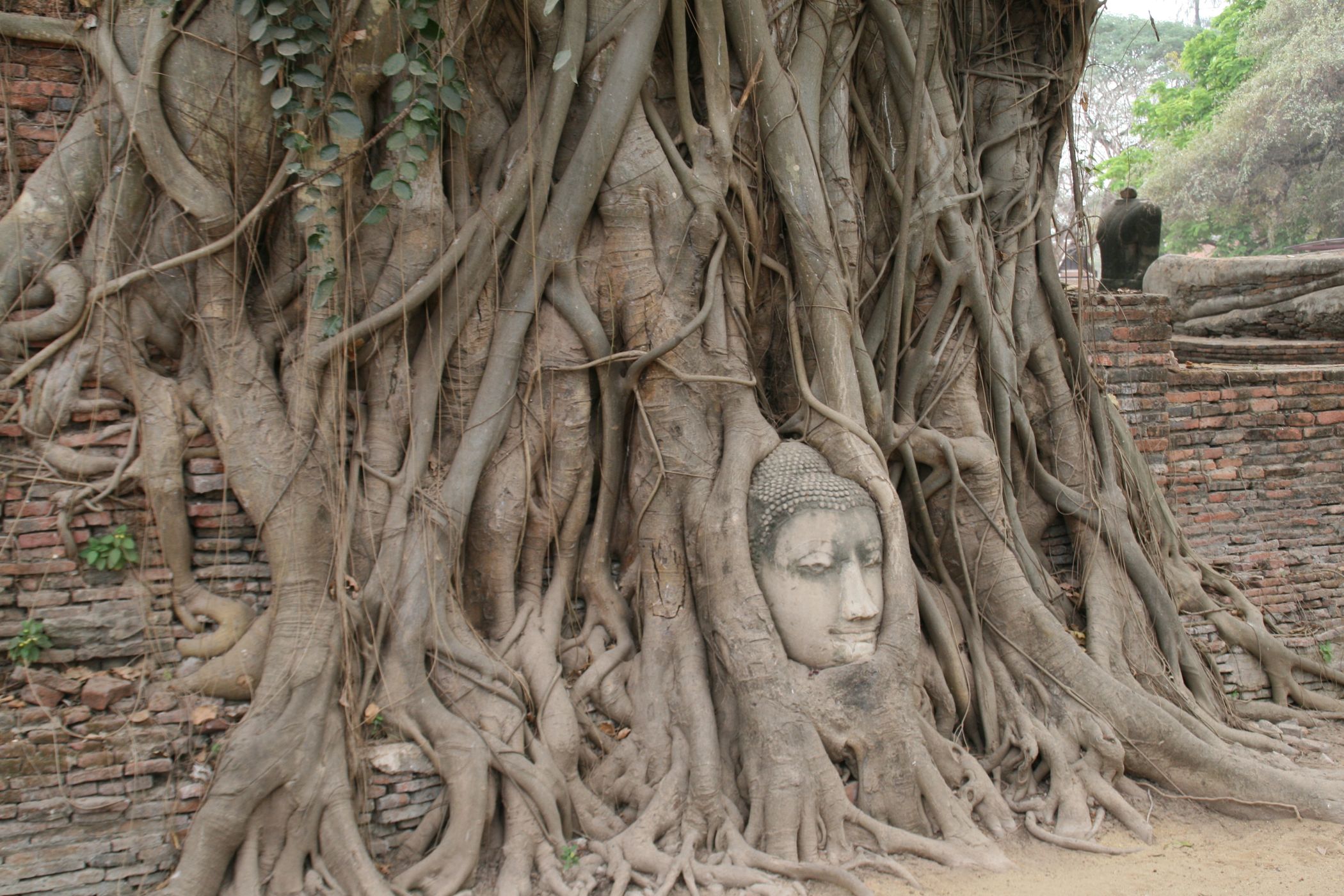 Ayutthaya - Old Capital, Thailand