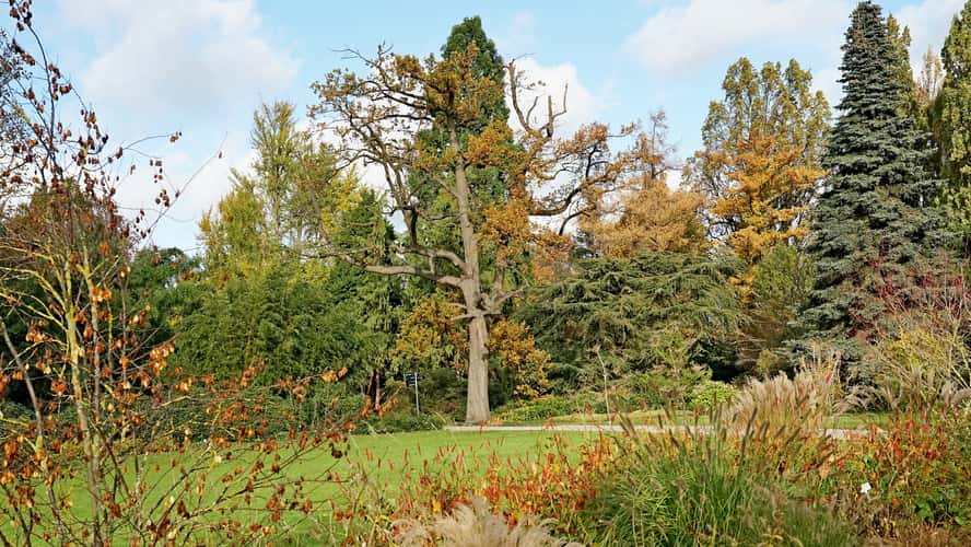 Berggarten Hannover