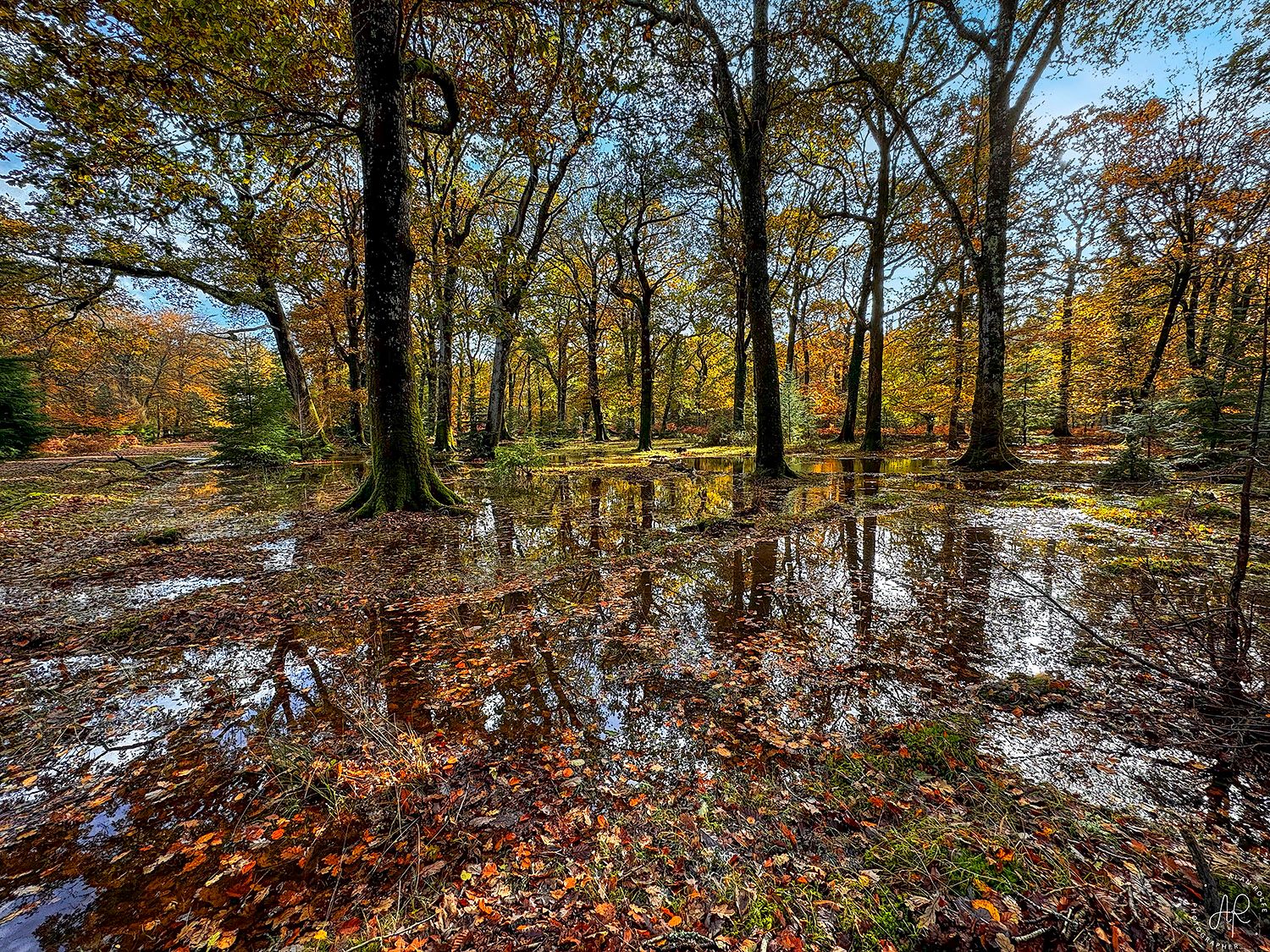 Black Water, United Kingdom