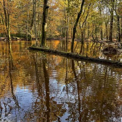 Black Water, United Kingdom