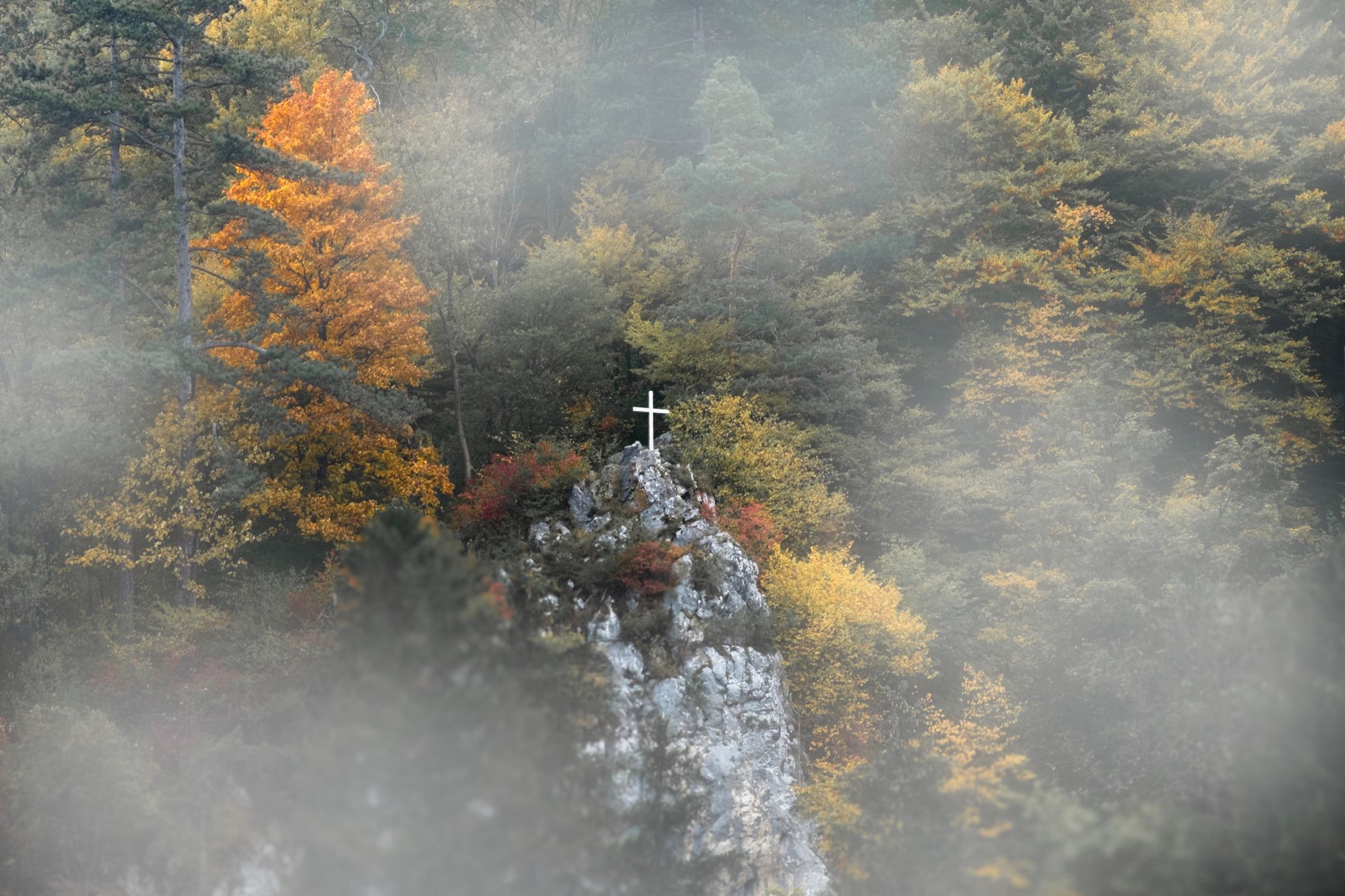 Bran Castle (Inside), Romania