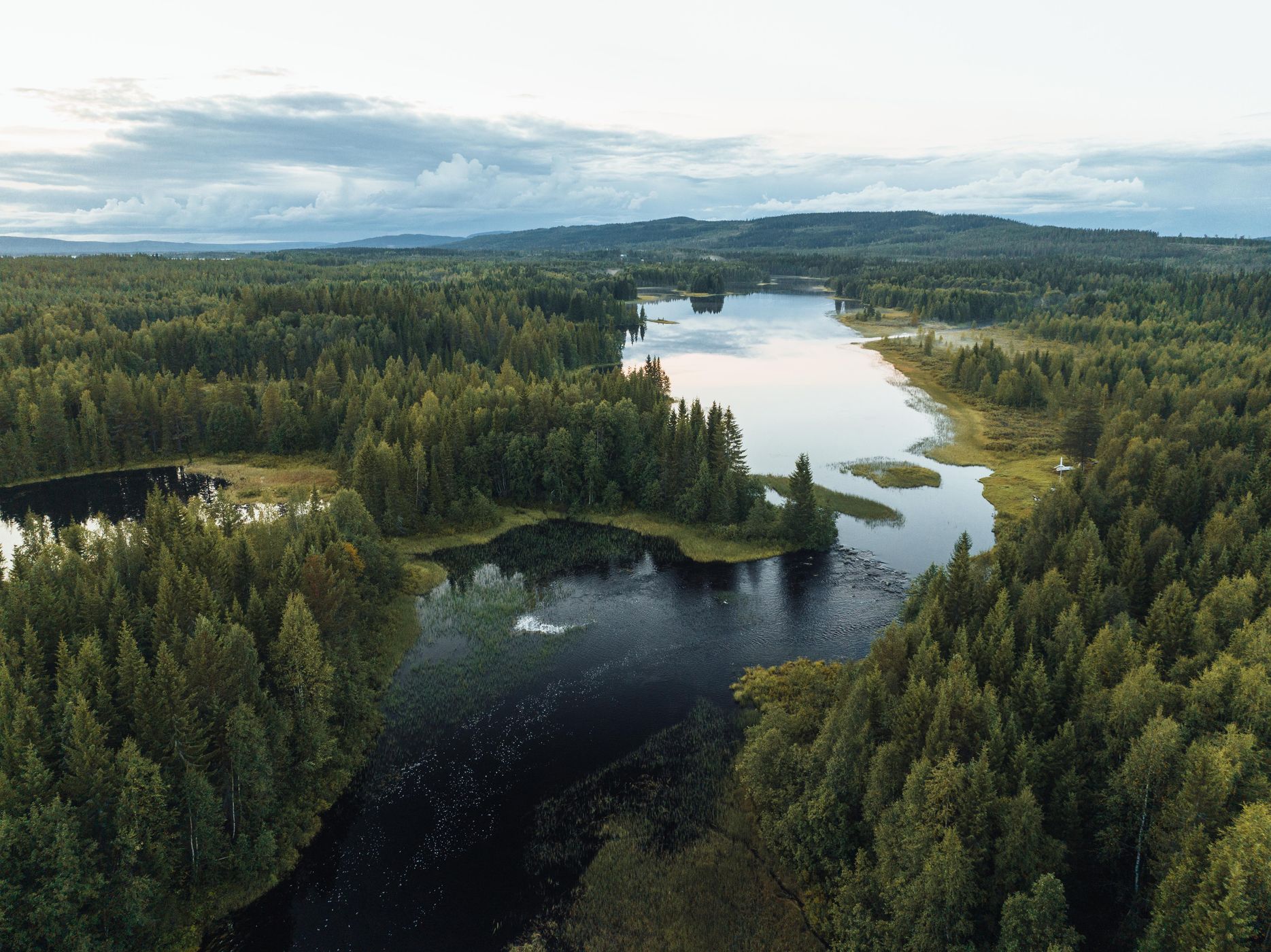 Bredselet, Sweden