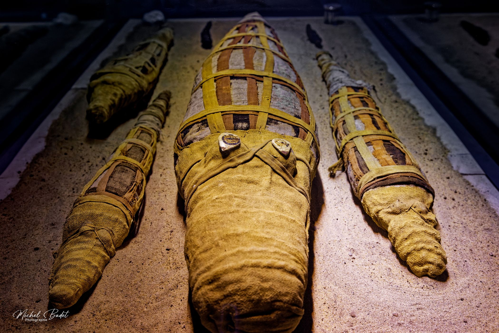 Crocodile Museum, Egypt