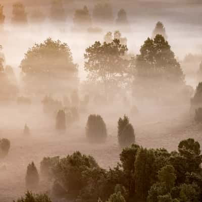 „Totengrund“, Lüneburger Heide, Germany