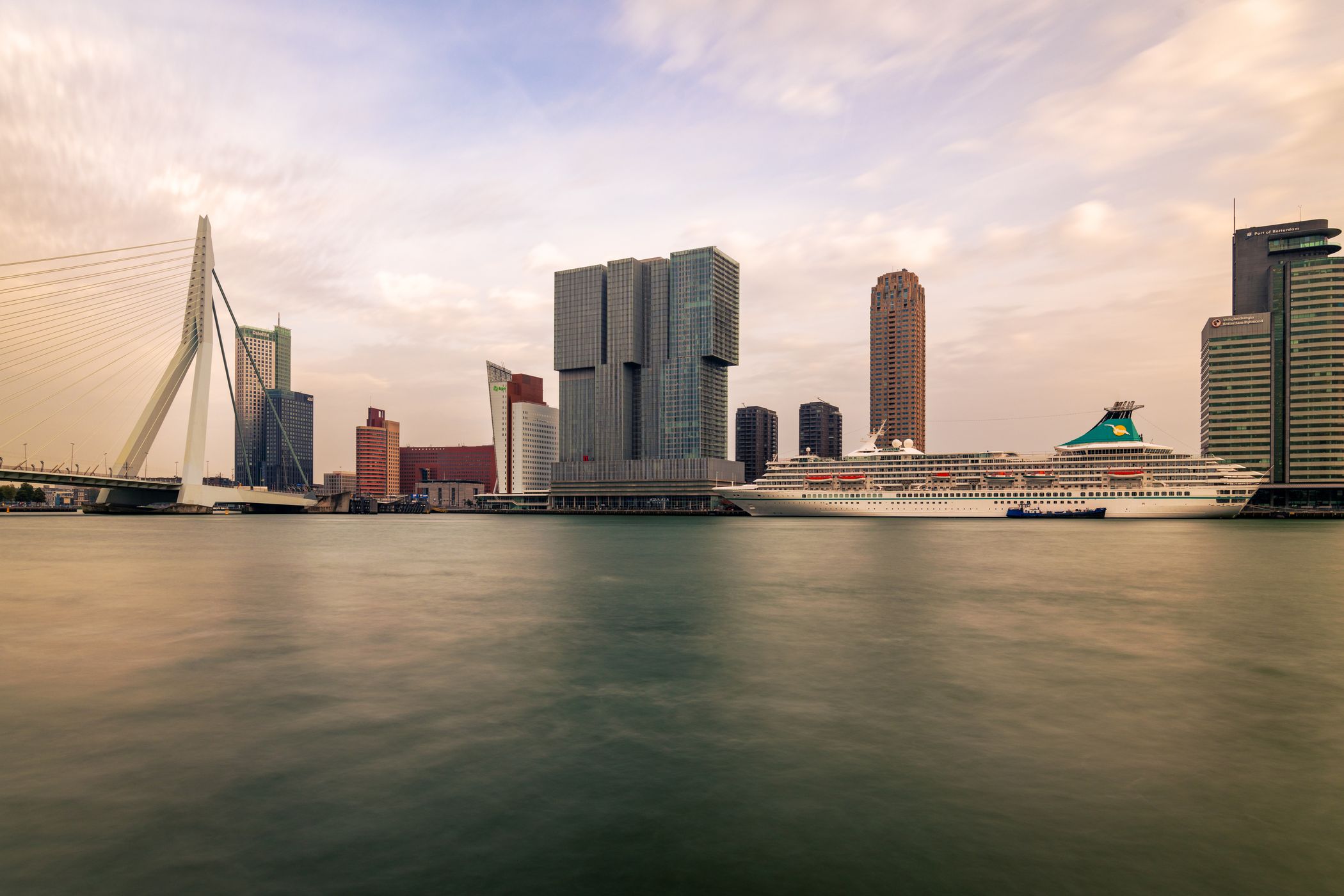 Erasmus Bridge (south view), Rotterdam, Netherlands