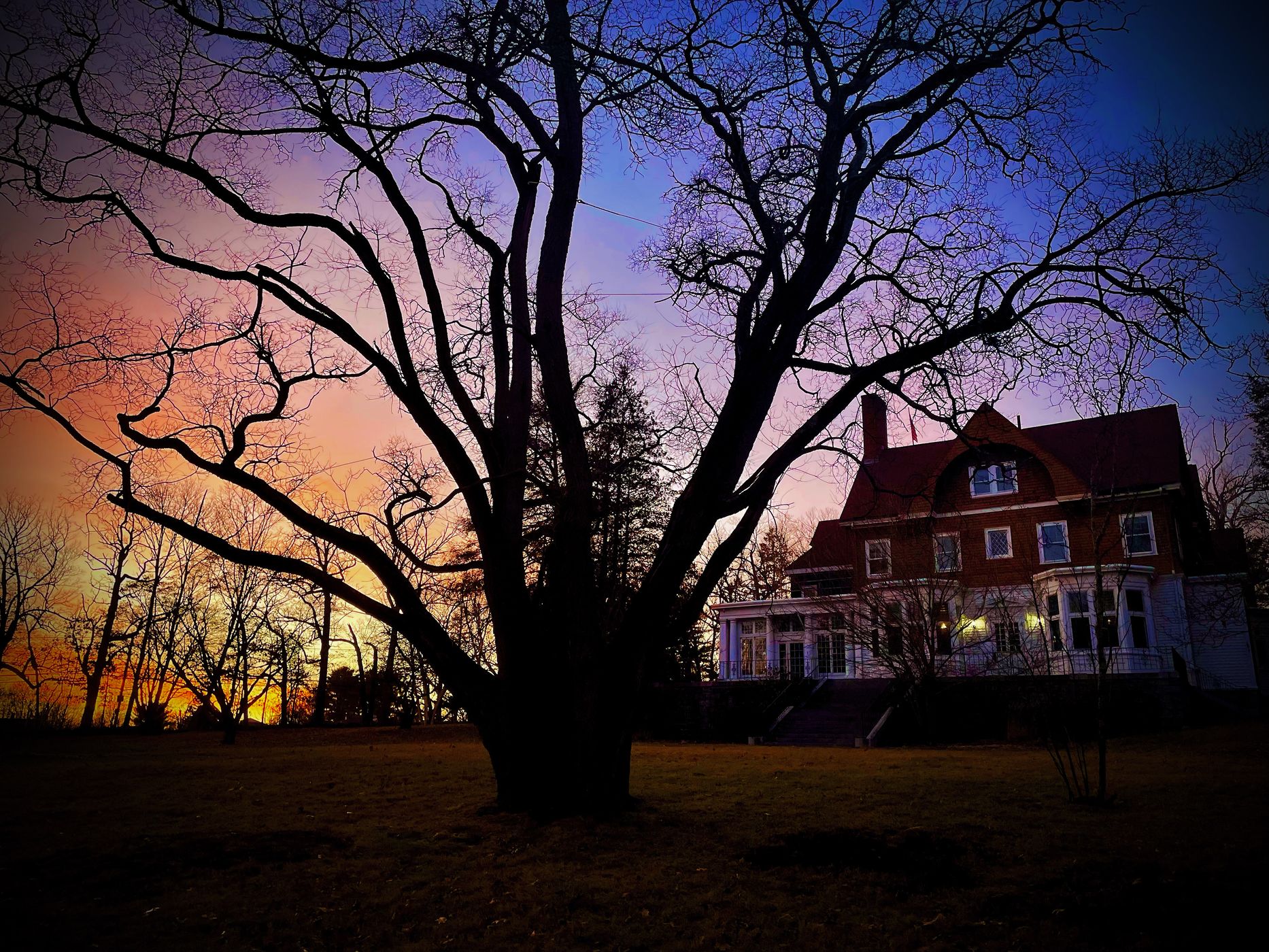 Estate of Mind, USA