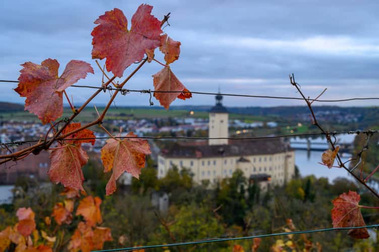 Gundelsheim Michaelsberg