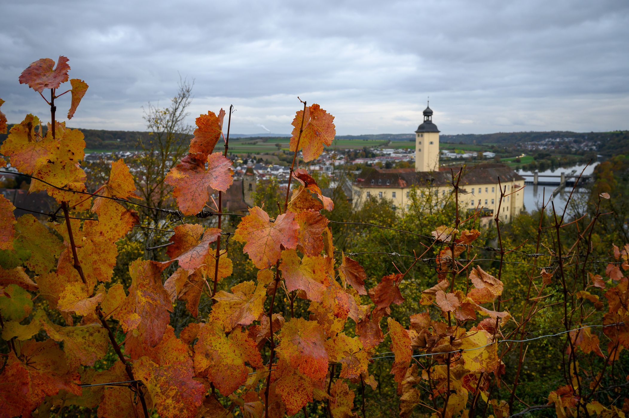 Gundelsheim Michaelsberg, Germany