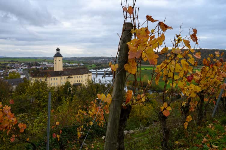 Gundelsheim Michaelsberg