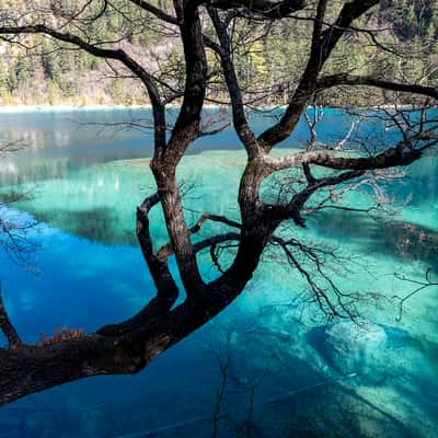 Jiuzhaigou Valley, Sparkling Lake, China